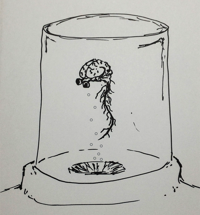 brain2