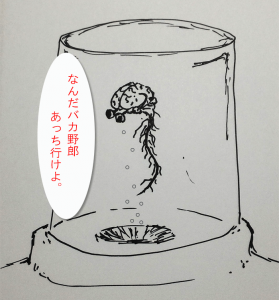 brain3